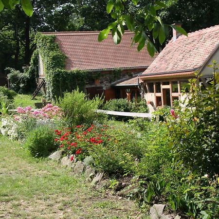Poncet'Sches Herrenhaus Dresda Esterno foto