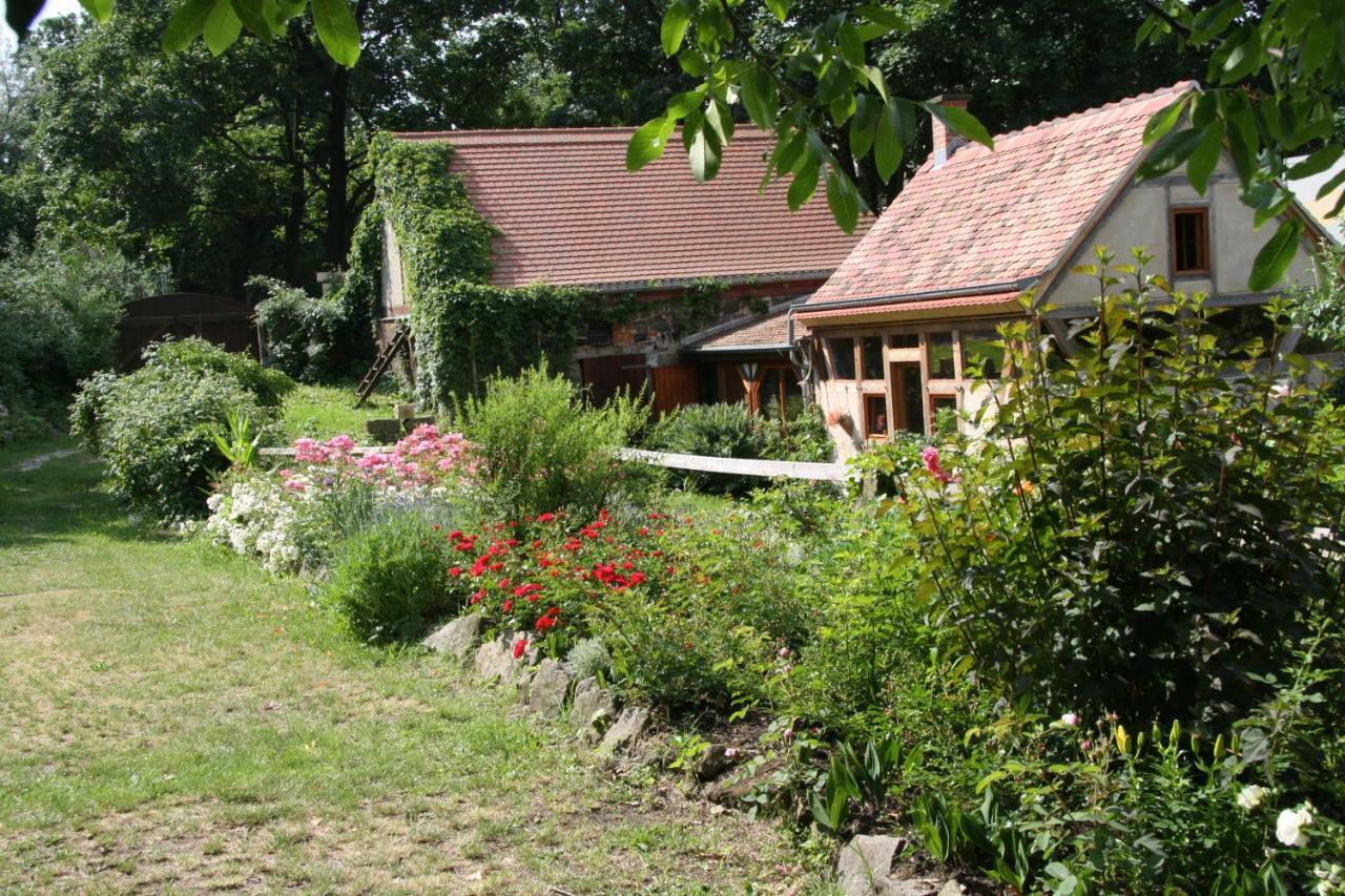 Poncet'Sches Herrenhaus Dresda Esterno foto